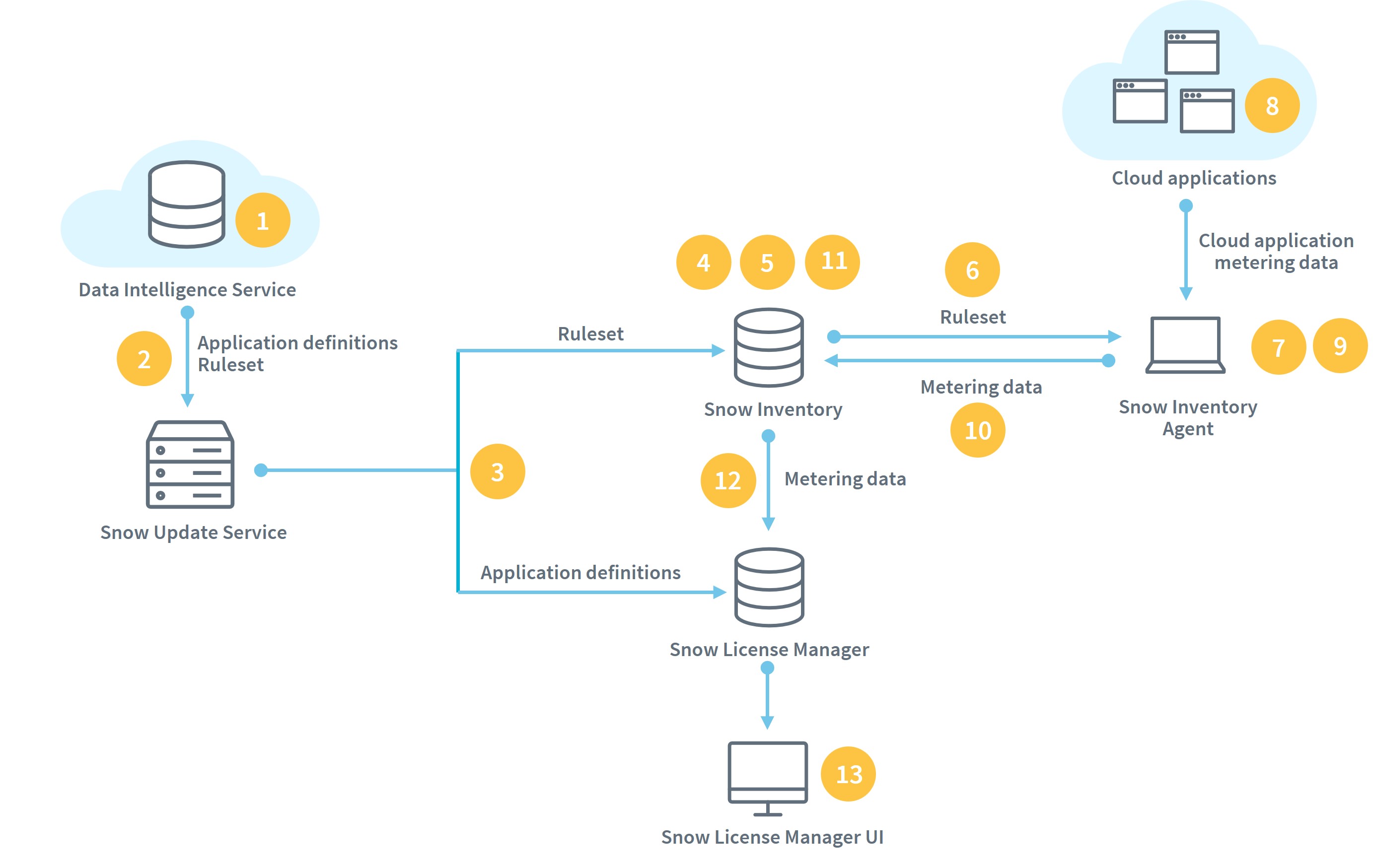 Cloud application metering architecture for Snow License Manager