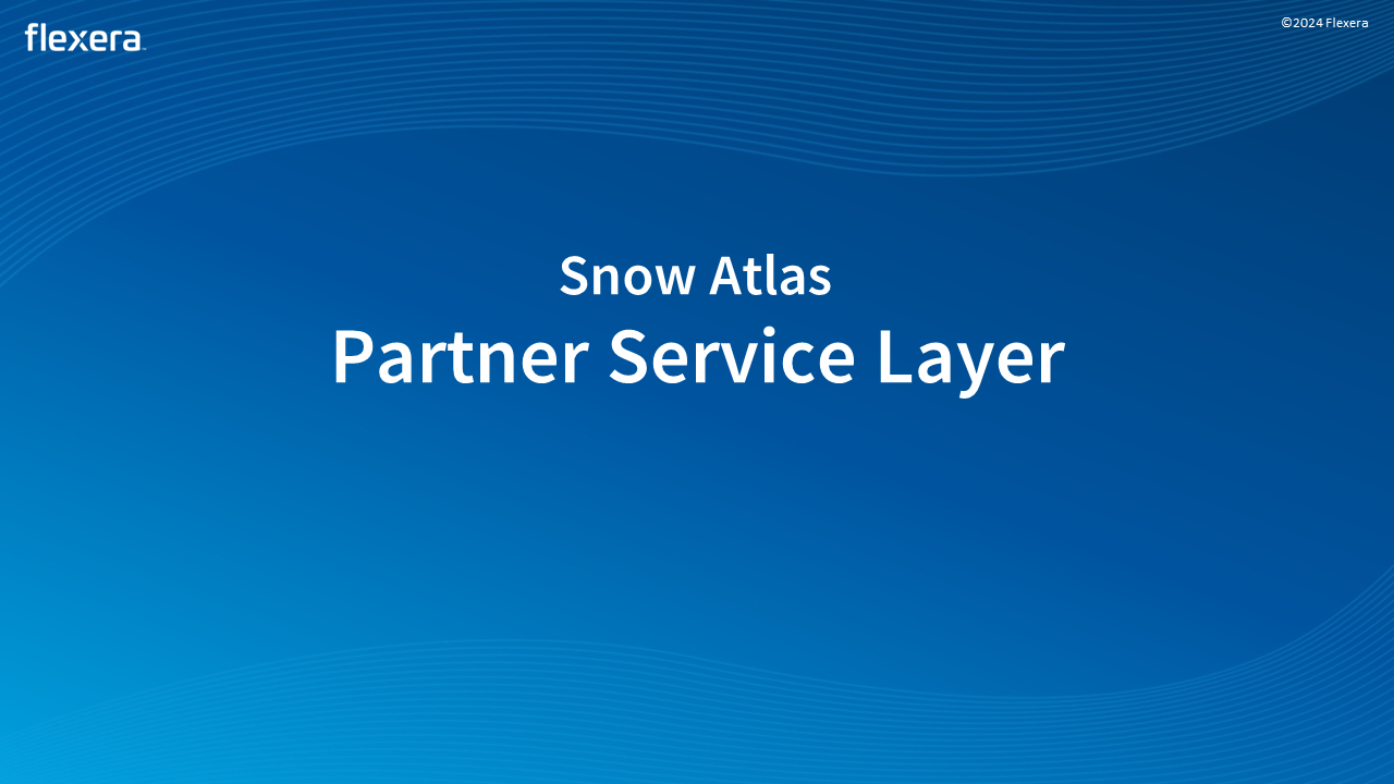 Introduction to the Partner Service Layer